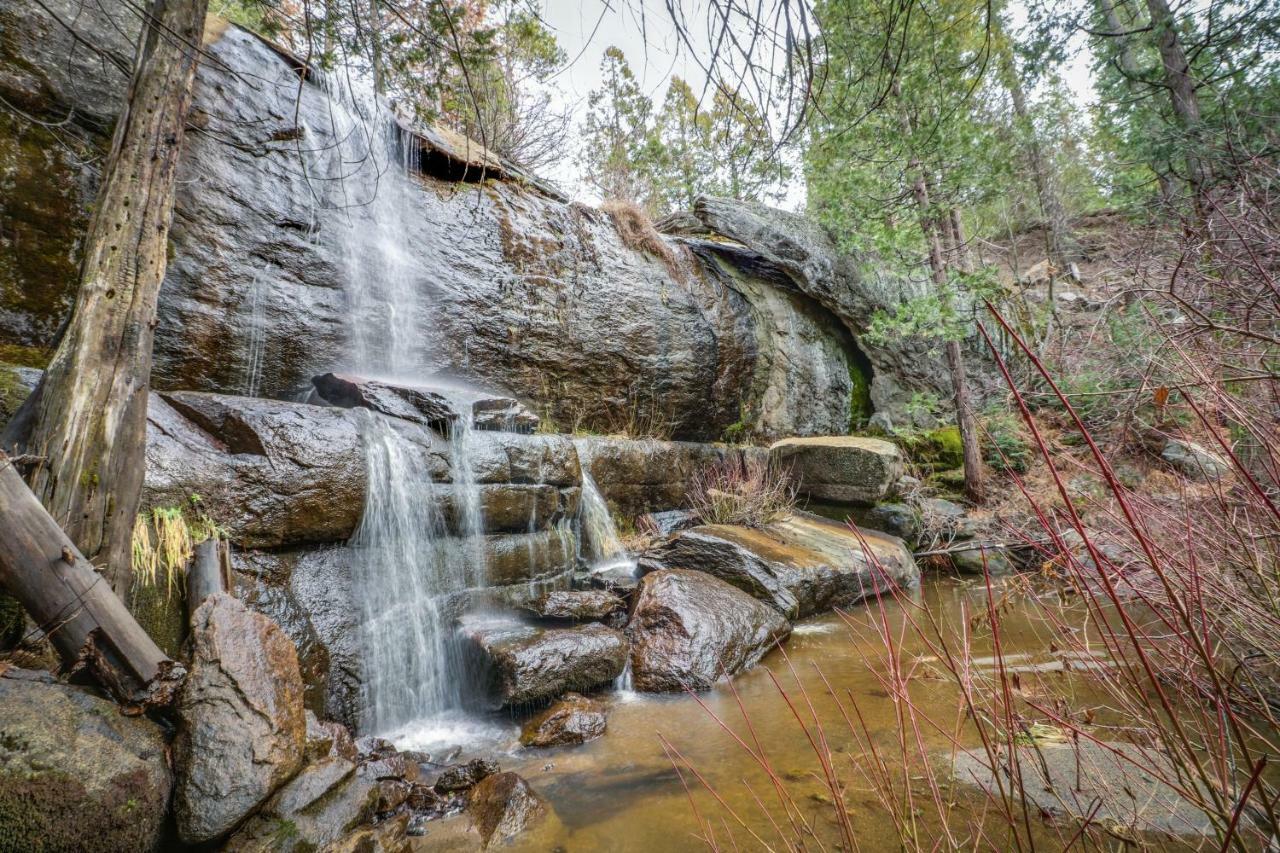 Forest Falls シェイバー・レイク エクステリア 写真